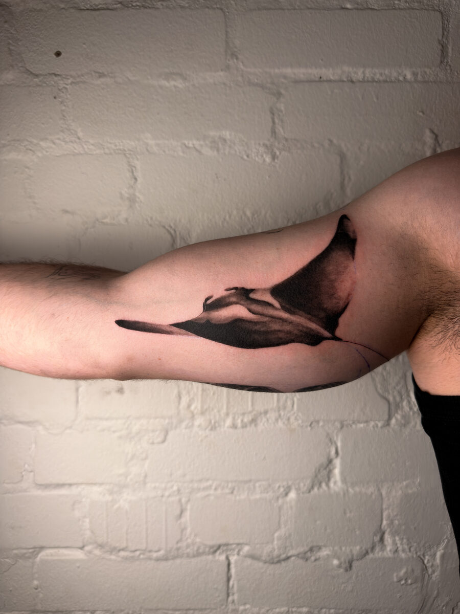 Manta – Noir Ink by J